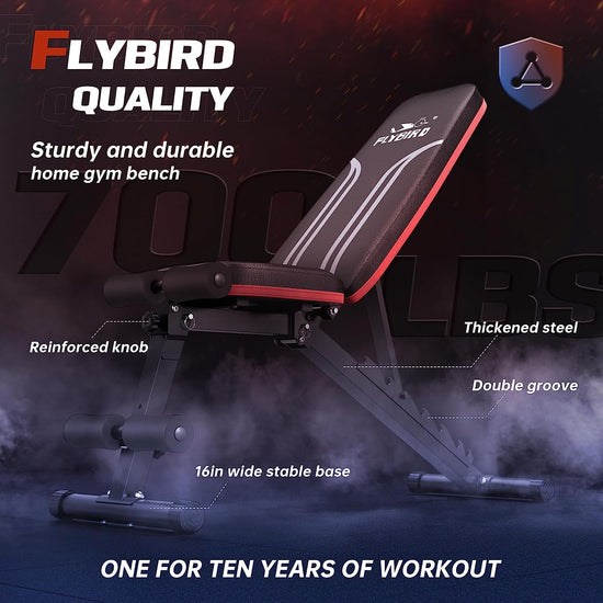 Adjustable Weight Bench, Utility Gym Bench for Full Body Workout, Multi-Purpose Foldable Incline Decline Benchs - 2019 Version