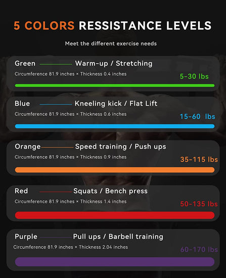 Pull up Assistance Bands - Set of 5 Resistance Heavy Duty Workout Exercise Stretch Fitness Bands Assist Set for Body, Instruction Guide and Carry Bag Included