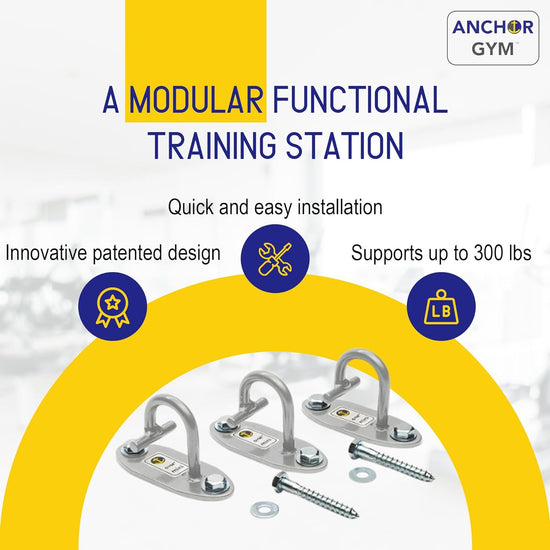 - Three Mini H1 Units | Three Workout Mount Anchors - Mounting Hooks for Bands, Straps, and Ropes (All Hardware Included)