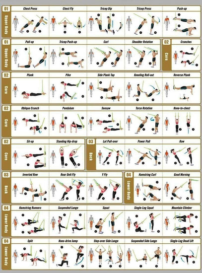 Bodyweight Training Fitness Kit Include Cylinder Handles,Straps for Door Anchor Point for Adjustable Height Full Body Training Equipment V1