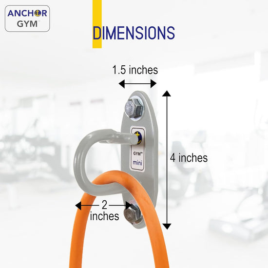 - Three Mini H1 Units | Three Workout Mount Anchors - Mounting Hooks for Bands, Straps, and Ropes (All Hardware Included)