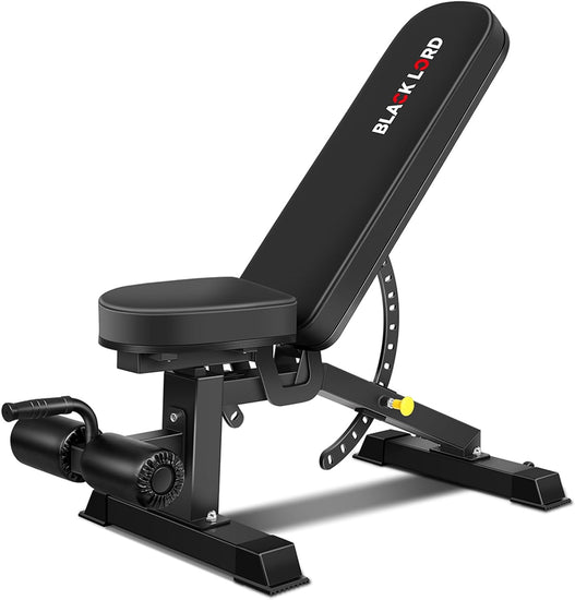 Foldable Weight Bench for Incline Decline Flat Dumbbell Press, Adjustable FID Bench with 14 Positions for Full Body Exercise, Utility Fitness Equipment for Commercial & Home Gym, Max 450Kg