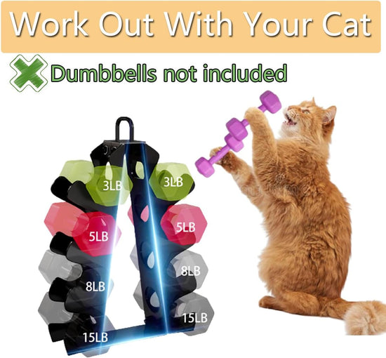 Weight Rack for Dumbbells,  Compact A-Frame Dumbbell Rack Stand Only, Dumbbell Rack with Handle, for Home Gym Workout